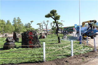 阿尔山景区以园林绿化工程打造别样风景