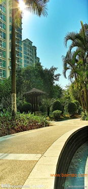 北京小区园林绿化工程施工全解析 专业公司、可靠生产与合理价格