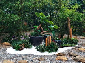 转型的十字路口 园林绿化行业的挑战与未来路径