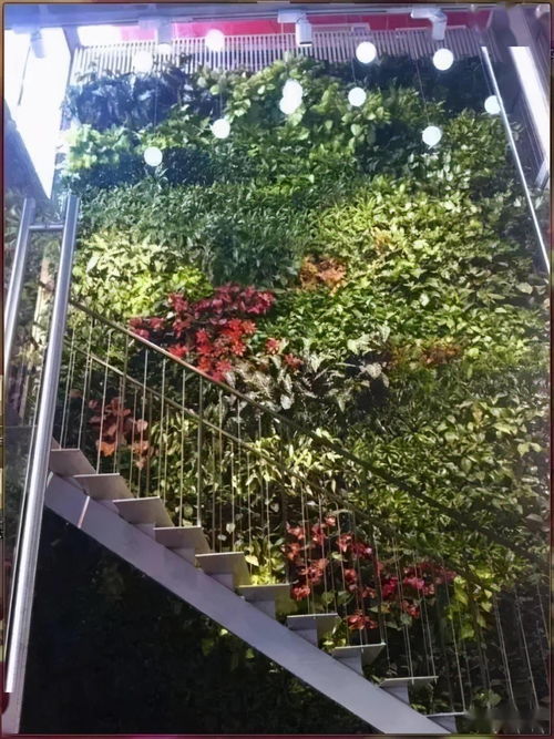 园林工程中的6种垂直绿化形式 提升空间效能与生态美学