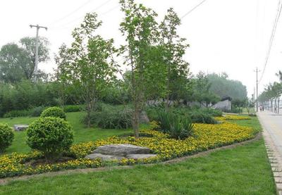 园林绿化工程的类别划分与专业解析