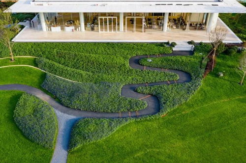 园林景观工程绿化施工图设计的基本原则与实践路径